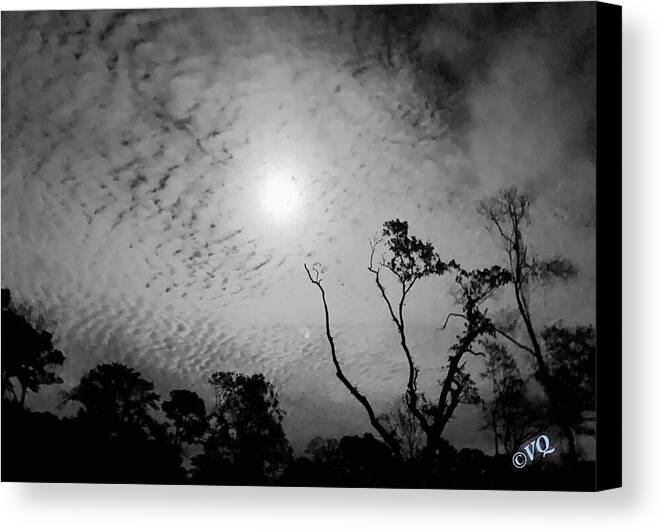 Moonlit Night with Silhouetted Trees - Canvas Print