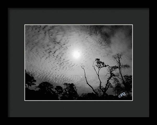 Moonlit Night with Silhouetted Trees - Framed Print