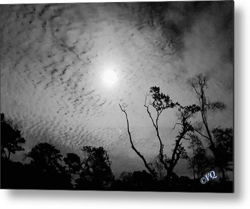 Moonlit Night with Silhouetted Trees - Metal Print