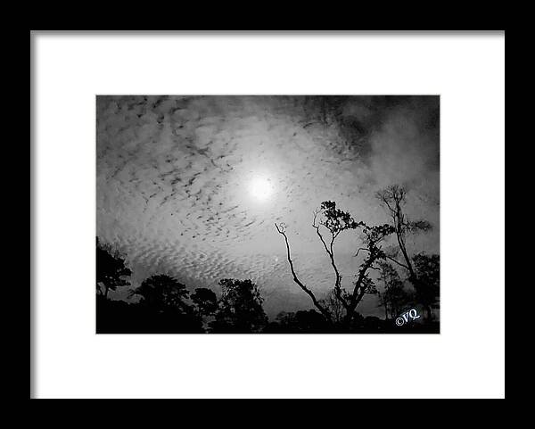 Moonlit Night with Silhouetted Trees - Framed Print