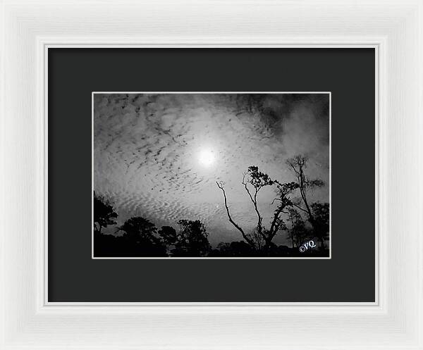 Moonlit Night with Silhouetted Trees - Framed Print