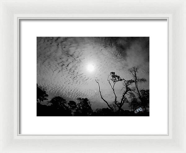 Moonlit Night with Silhouetted Trees - Framed Print