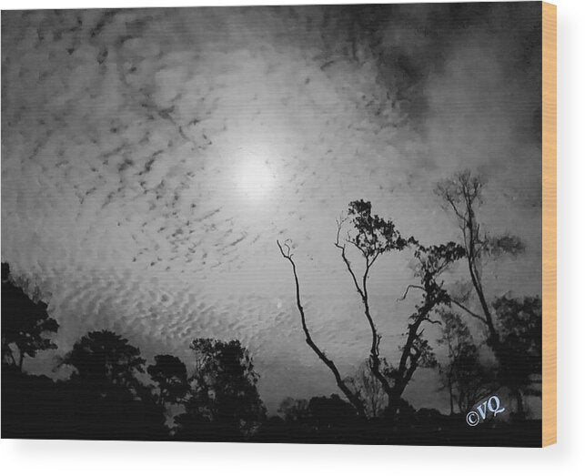Moonlit Night with Silhouetted Trees - Wood Print