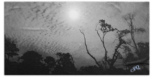 Moonlit Night with Silhouetted Trees - Beach Towel