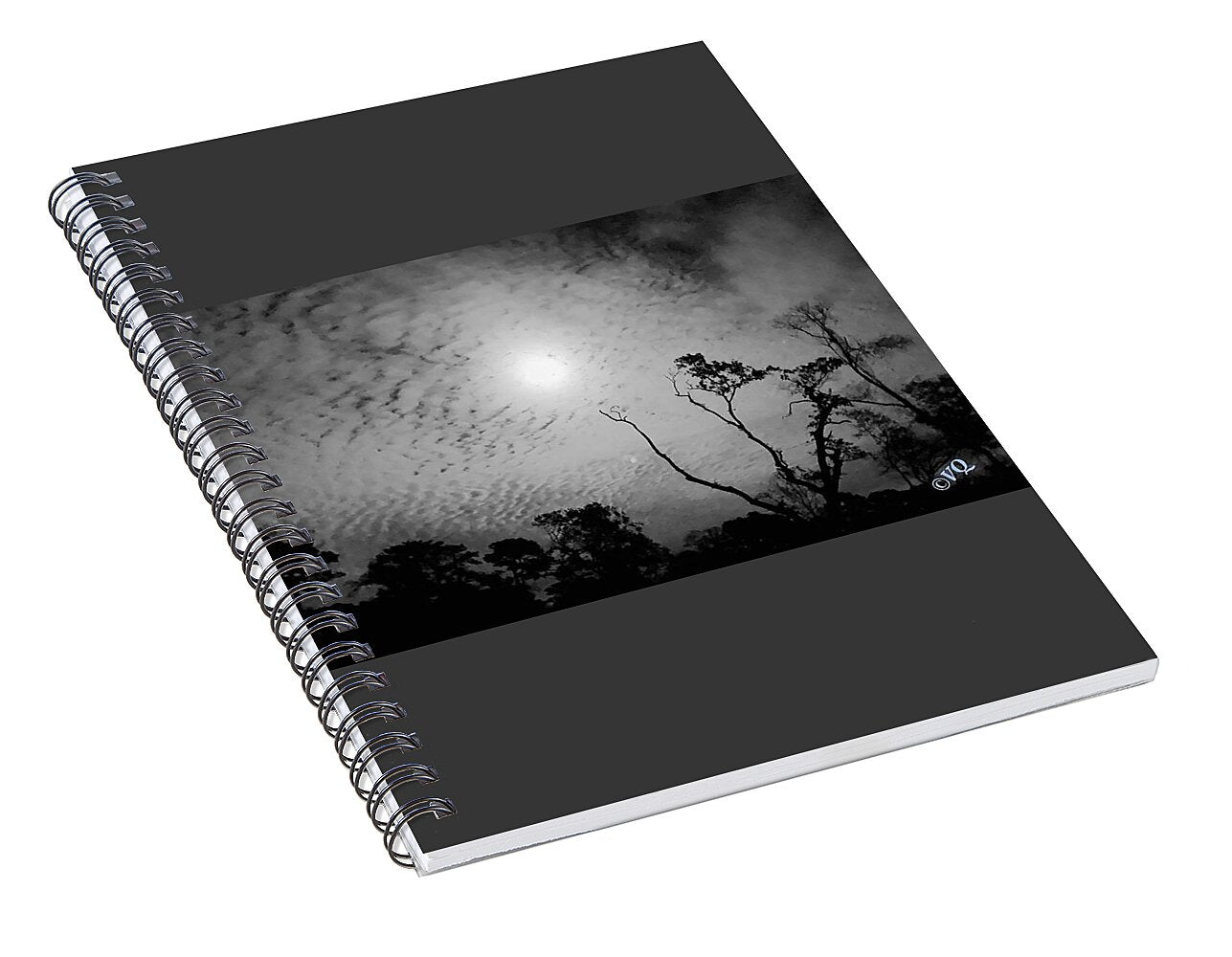 Moonlit Night with Silhouetted Trees - Spiral Notebook