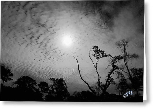 Moonlit Night with Silhouetted Trees - Greeting Card