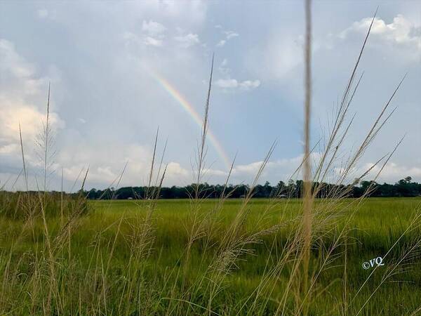 Rainbow Over Peaceful Meadow - Art Print