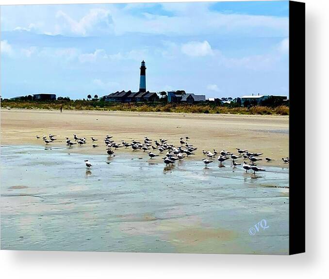 Seagulls on a Sandy Shoreline - Canvas Print