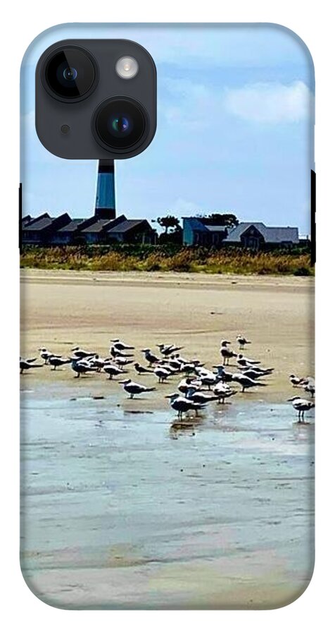 Seagulls on a Sandy Shoreline - Phone Case