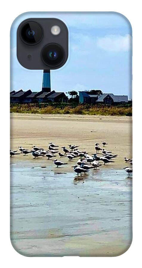 Seagulls on a Sandy Shoreline - Phone Case