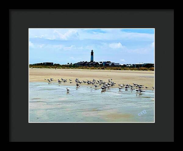 Seagulls on a Sandy Shoreline - Framed Print