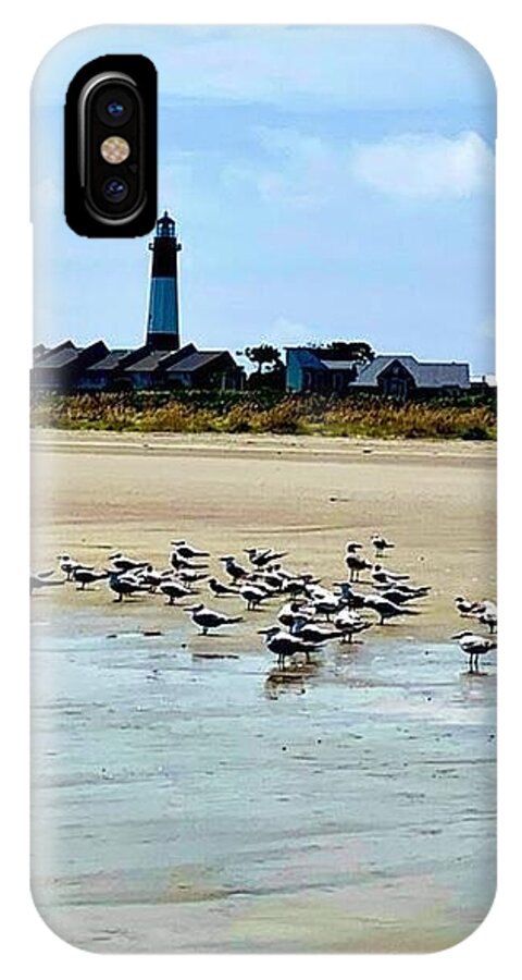 Seagulls on a Sandy Shoreline - Phone Case