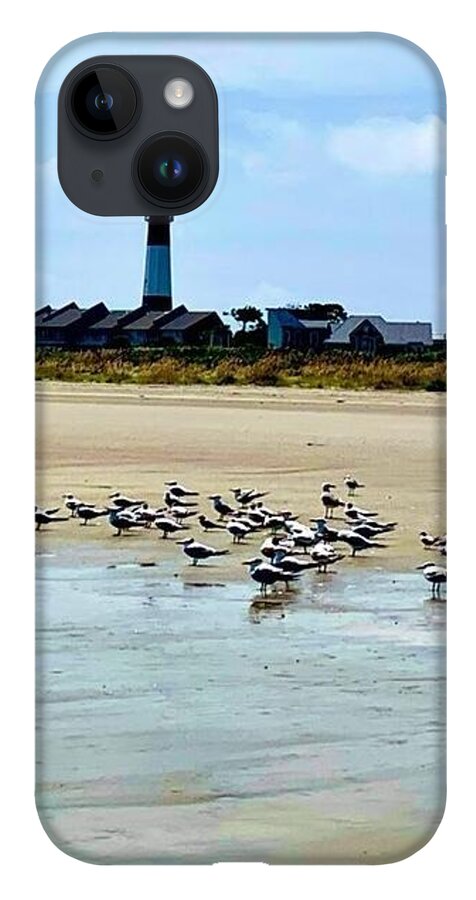 Seagulls on a Sandy Shoreline - Phone Case