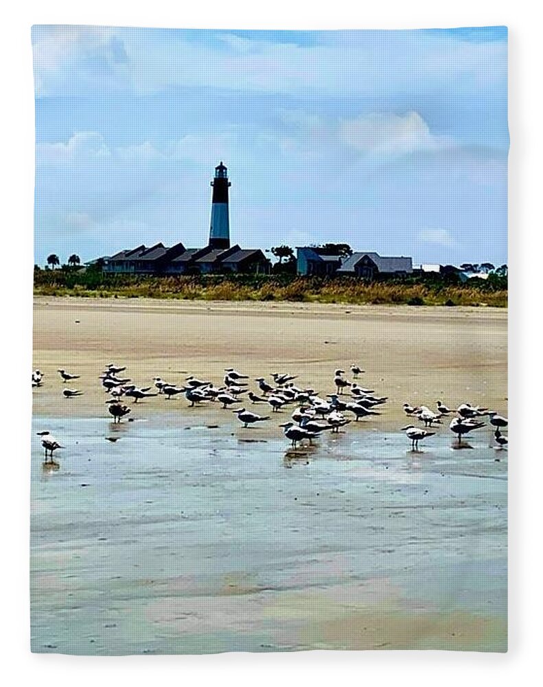 Seagulls on a Sandy Shoreline - Blanket