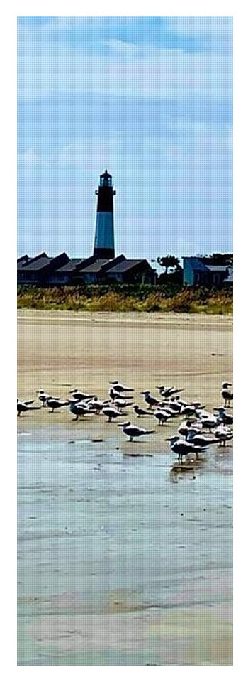 Seagulls on a Sandy Shoreline - Yoga Mat