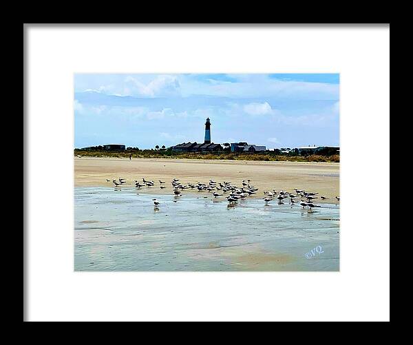 Seagulls on a Sandy Shoreline - Framed Print