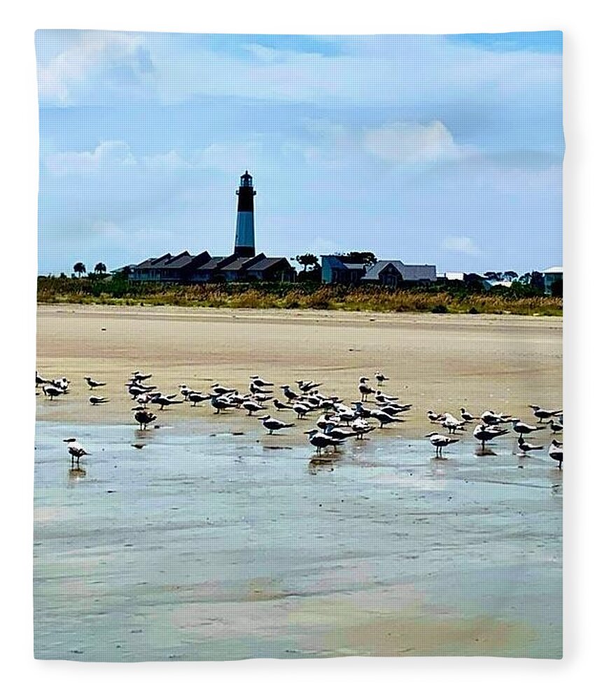 Seagulls on a Sandy Shoreline - Blanket