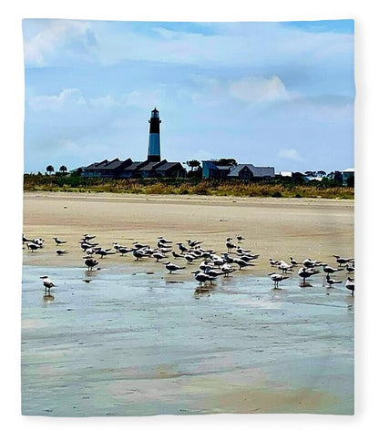 Seagulls on a Sandy Shoreline - Blanket