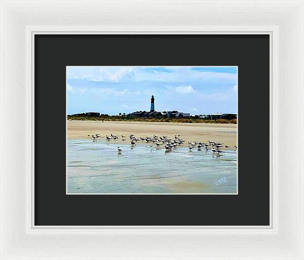Seagulls on a Sandy Shoreline - Framed Print