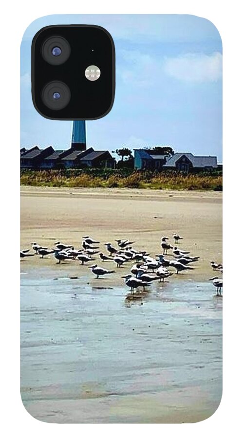 Seagulls on a Sandy Shoreline - Phone Case