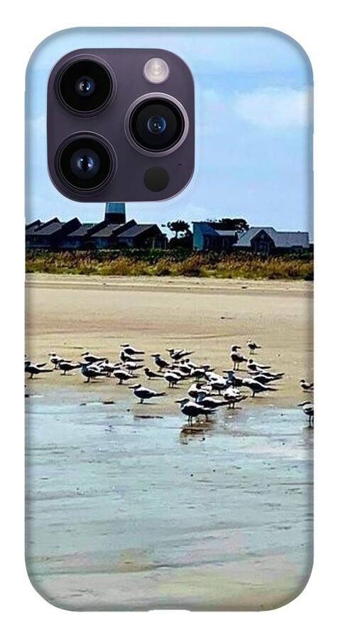 Seagulls on a Sandy Shoreline - Phone Case