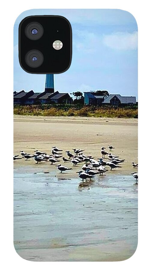 Seagulls on a Sandy Shoreline - Phone Case