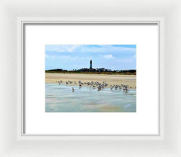Seagulls on a Sandy Shoreline - Framed Print