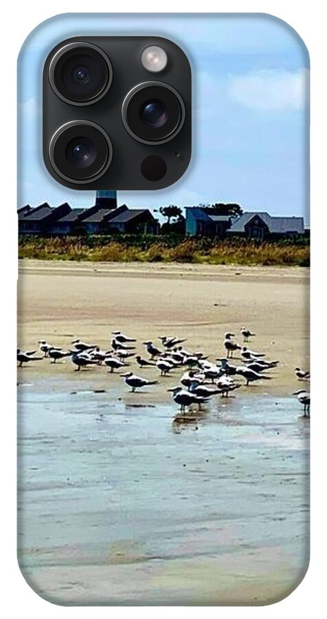 Seagulls on a Sandy Shoreline - Phone Case