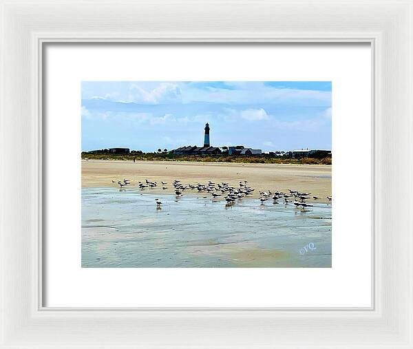 Seagulls on a Sandy Shoreline - Framed Print