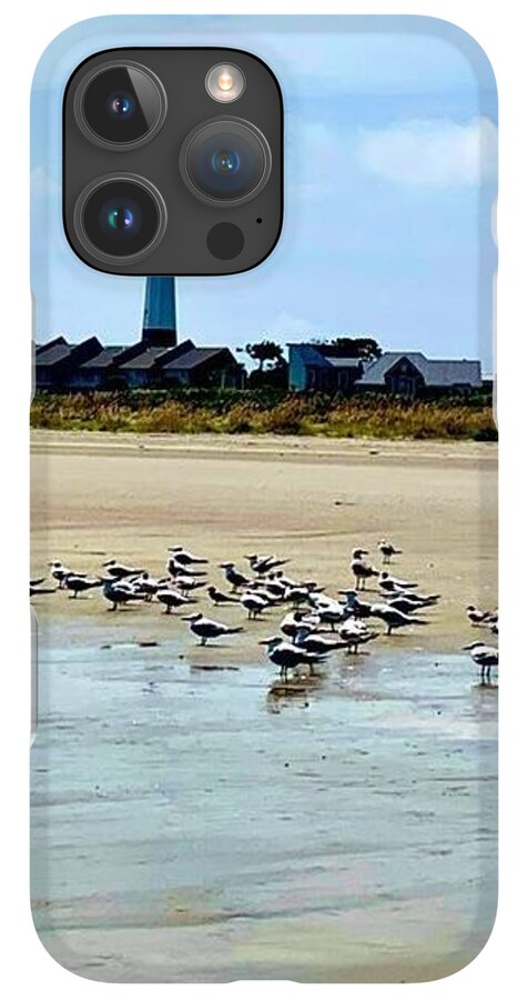 Seagulls on a Sandy Shoreline - Phone Case