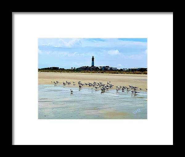Seagulls on a Sandy Shoreline - Framed Print