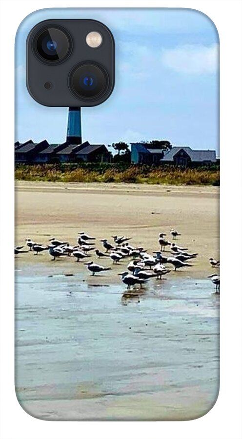 Seagulls on a Sandy Shoreline - Phone Case