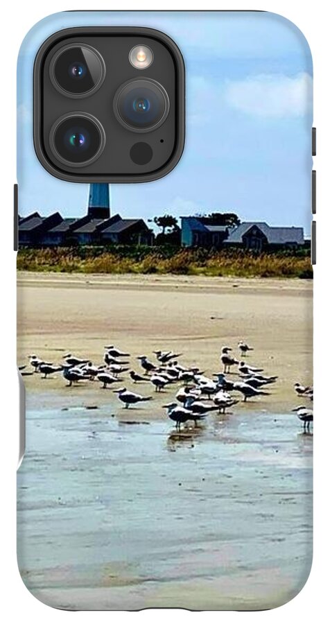 Seagulls on a Sandy Shoreline - Phone Case