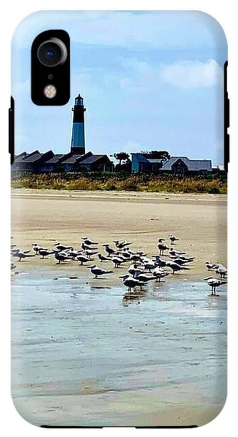 Seagulls on a Sandy Shoreline - Phone Case