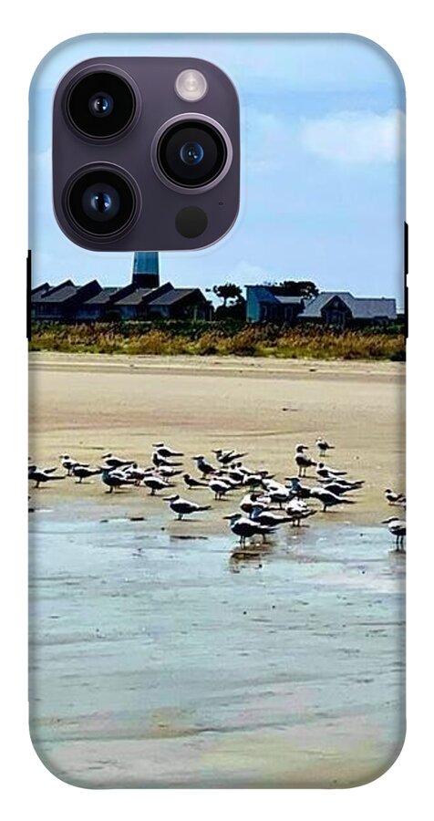 Seagulls on a Sandy Shoreline - Phone Case