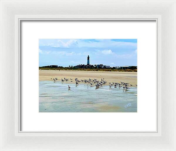 Seagulls on a Sandy Shoreline - Framed Print