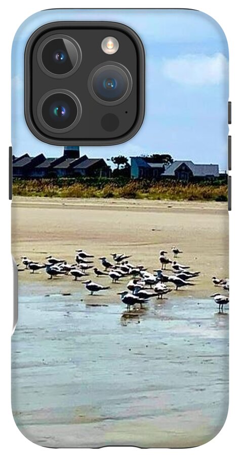 Seagulls on a Sandy Shoreline - Phone Case