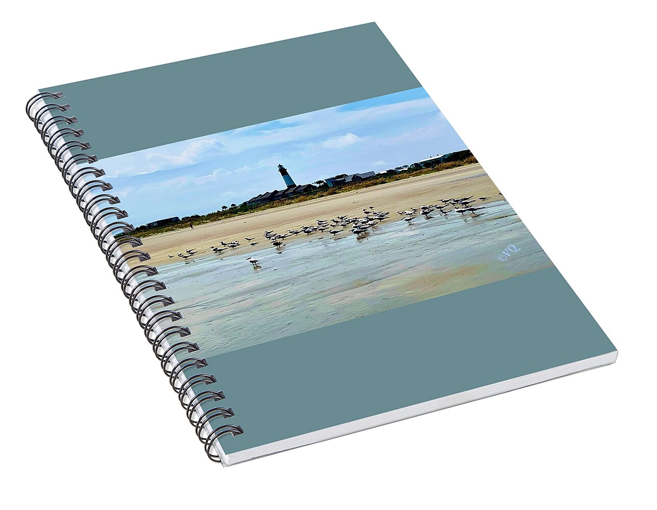 Seagulls on a Sandy Shoreline - Spiral Notebook