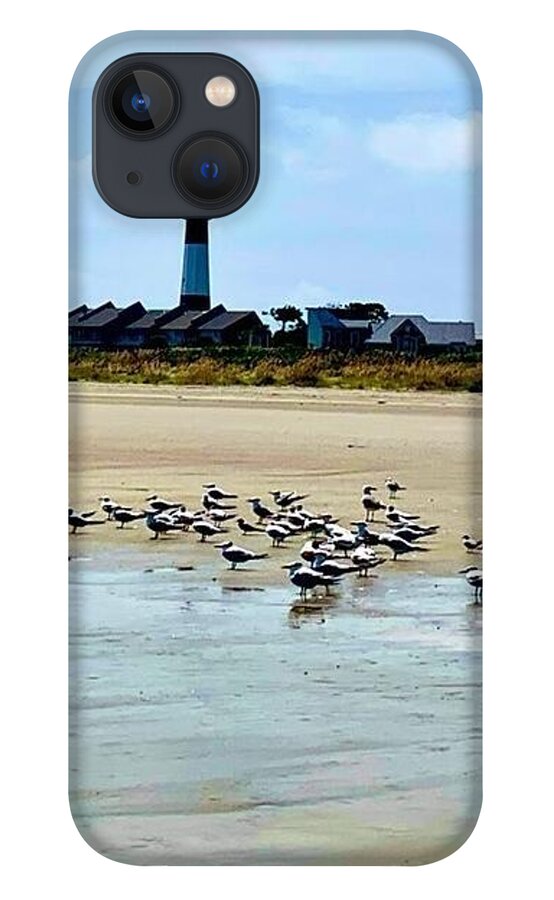 Seagulls on a Sandy Shoreline - Phone Case
