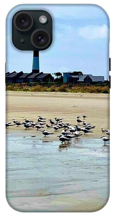 Seagulls on a Sandy Shoreline - Phone Case