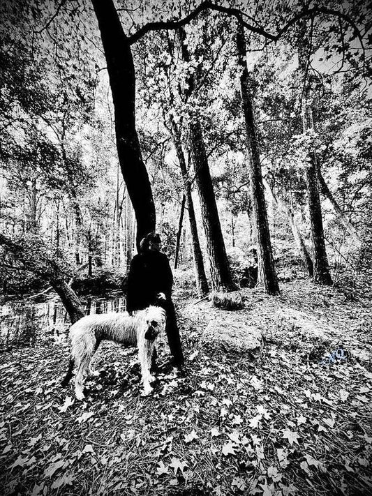 Solitude in the Autumn Woods - Art Print