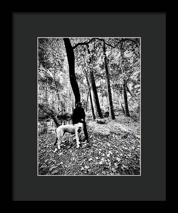 Solitude in the Autumn Woods - Framed Print