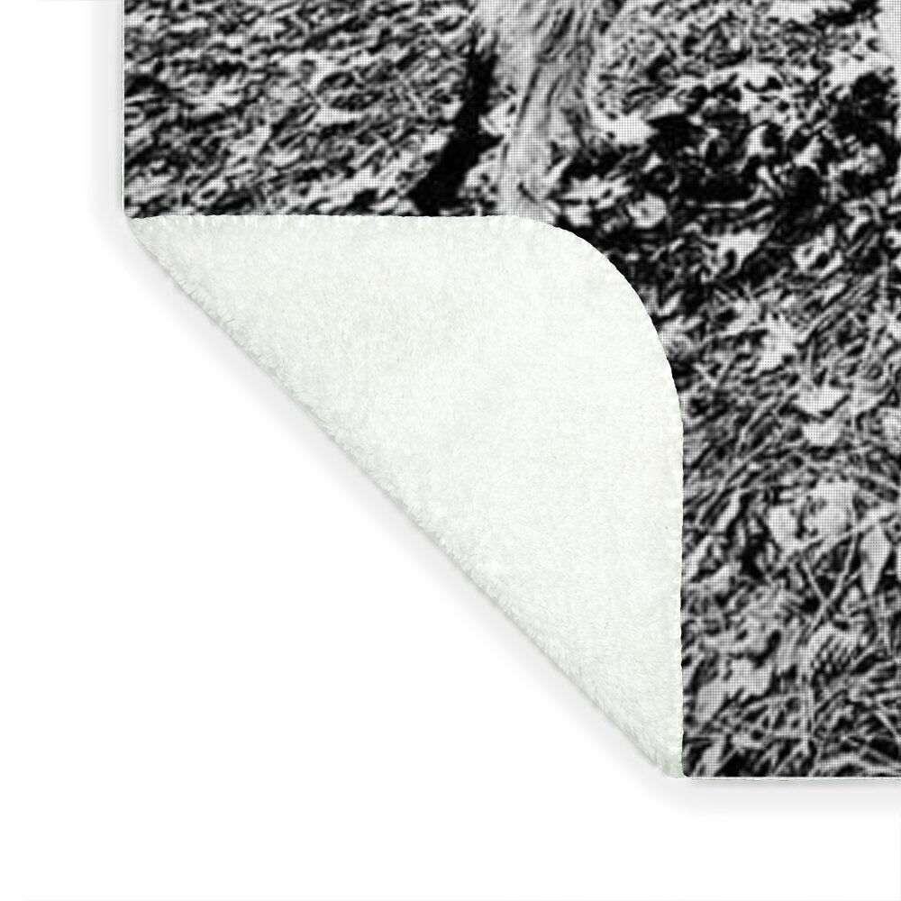 Solitude in the Autumn Woods - Blanket