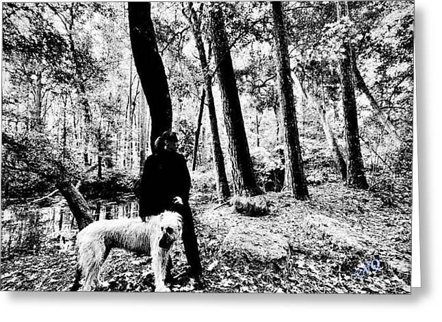 Solitude in the Autumn Woods - Greeting Card