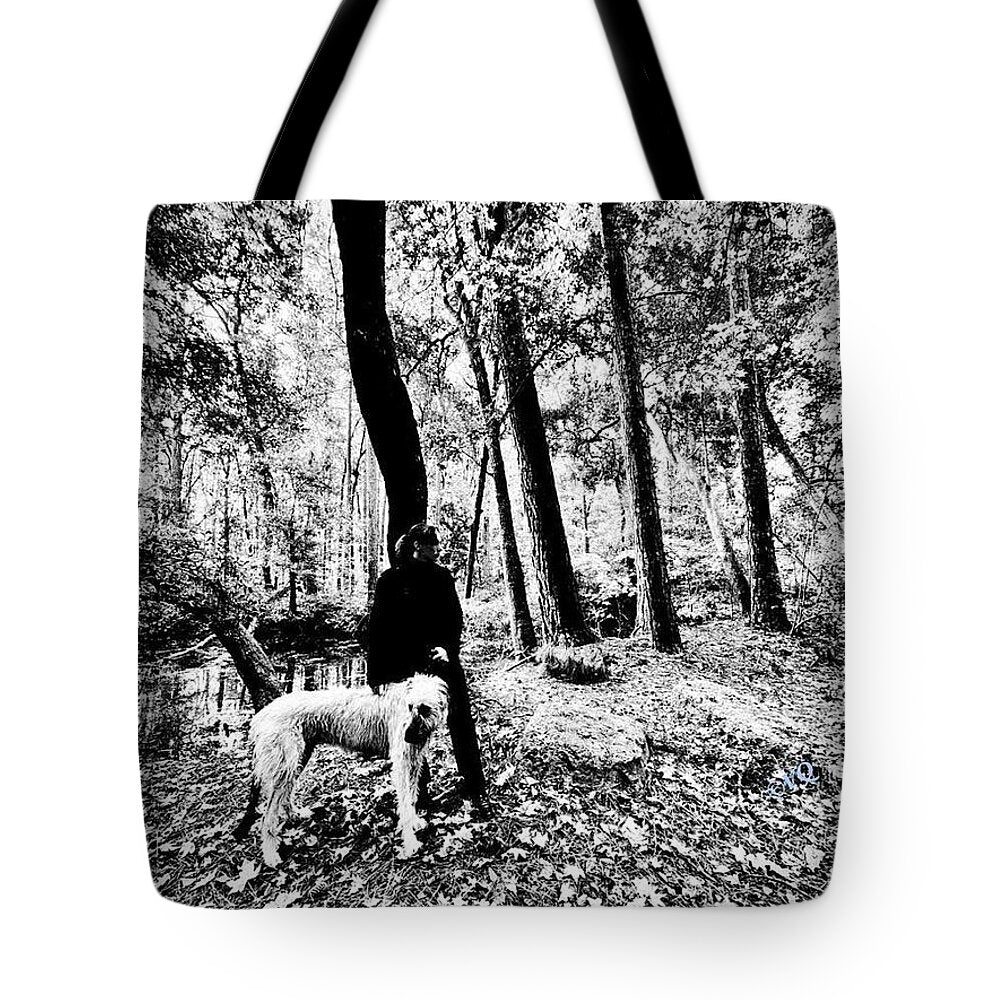 Solitude in the Autumn Woods - Tote Bag