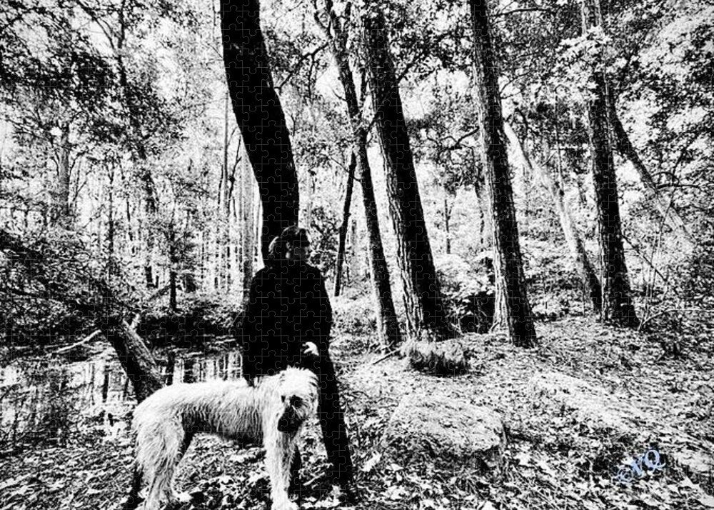 Solitude in the Autumn Woods - Puzzle