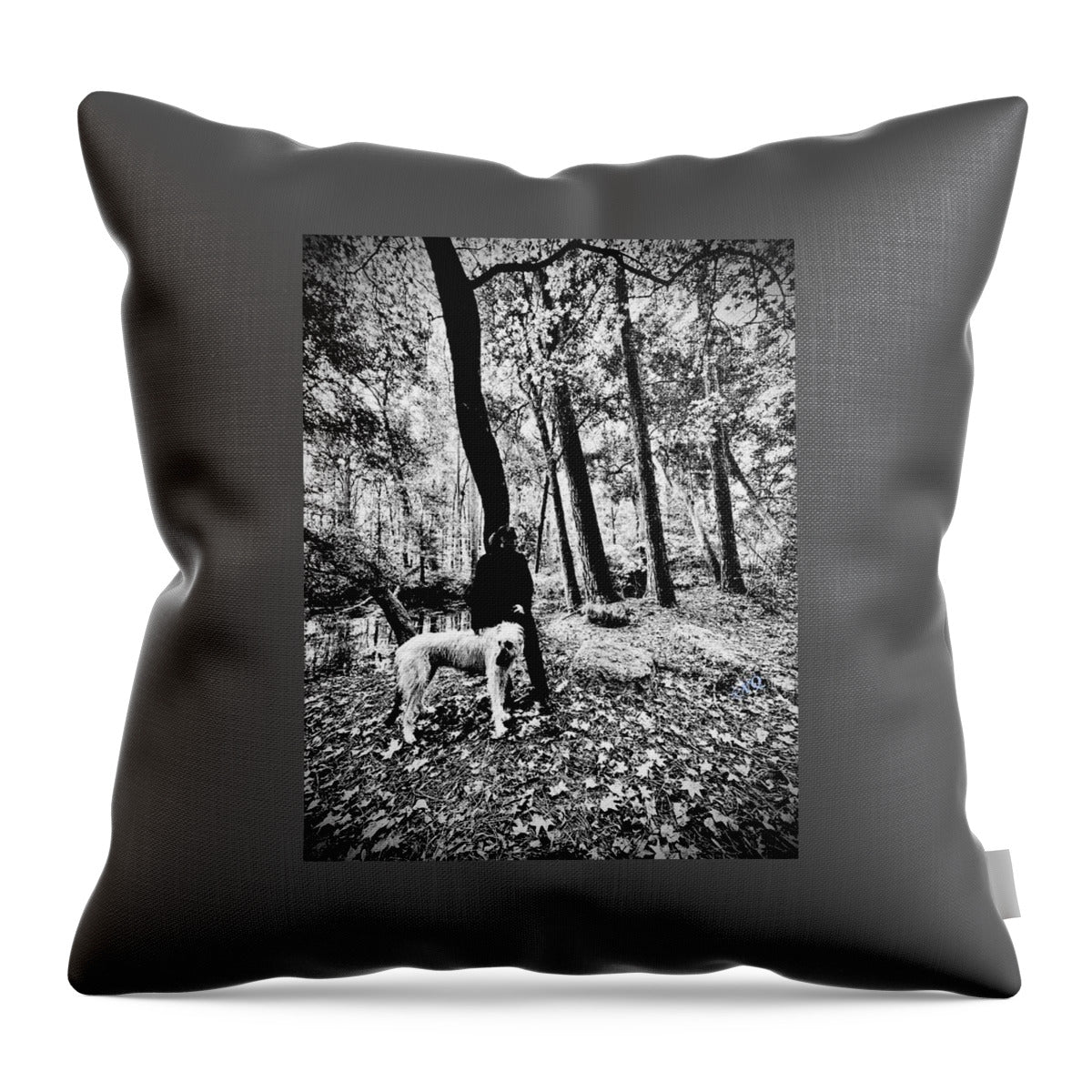 Solitude in the Autumn Woods - Throw Pillow