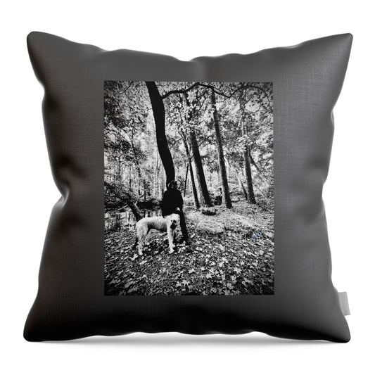 Solitude in the Autumn Woods - Throw Pillow