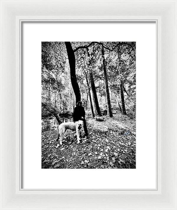Solitude in the Autumn Woods - Framed Print
