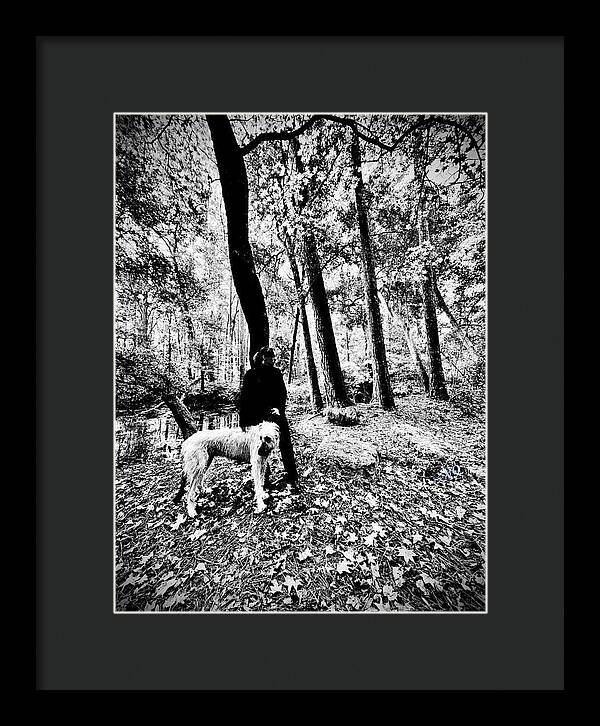 Solitude in the Autumn Woods - Framed Print